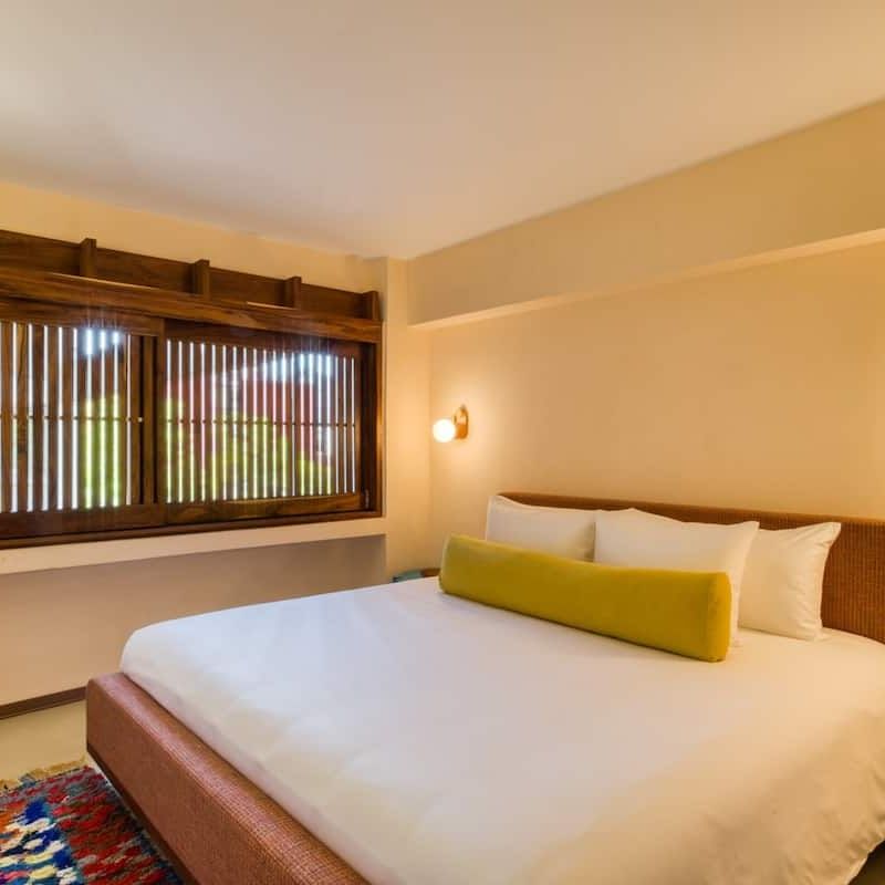 Two Apartments in Condesa