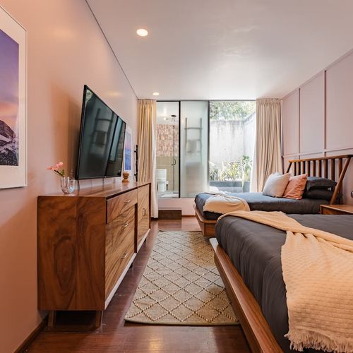 Large Home in Condesa