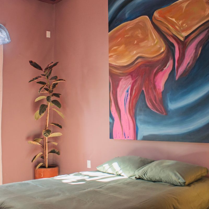 Large Home in Roma Sur