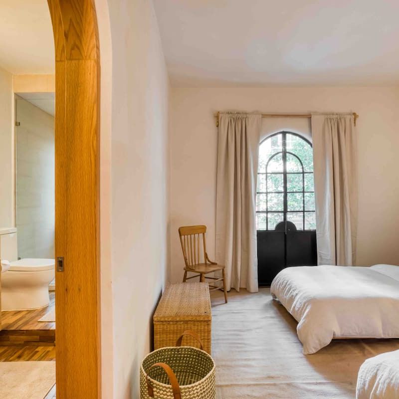 Two Homes in Condesa