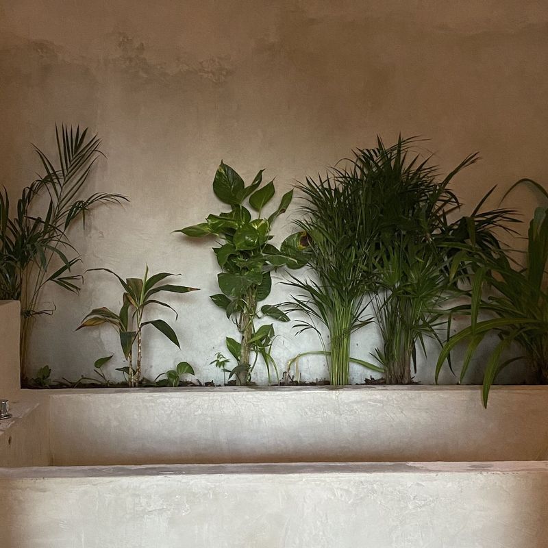 Estate in San Agustinillo