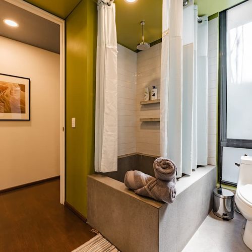 Large Home in Condesa