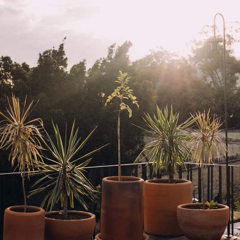 Luxury Home in Oaxaca