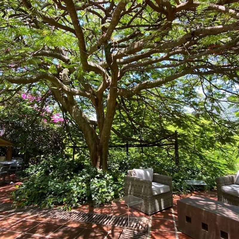 Countryside Home in Malinalco