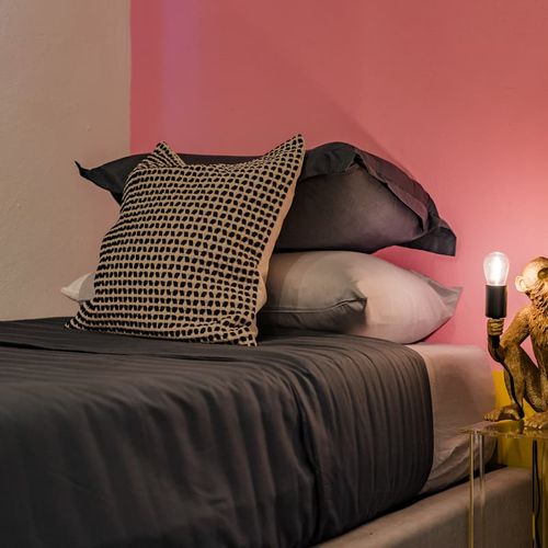 Large Home in Roma Sur