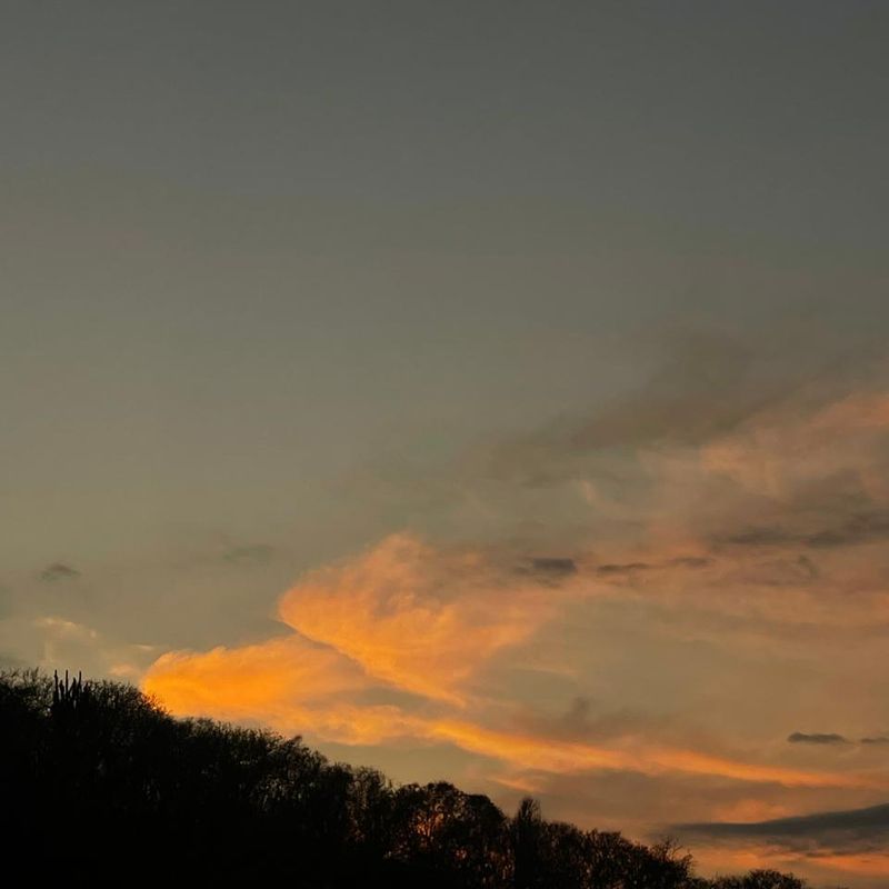 Beachfront Home in Casa Wabi