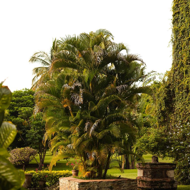 17th Century Hacienda in Morelos
