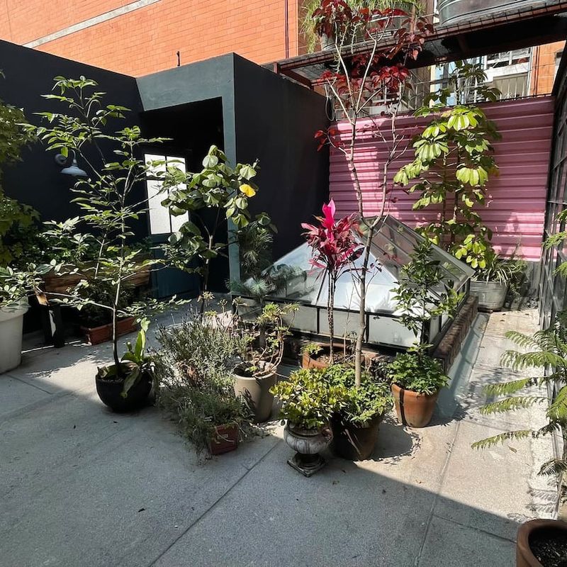 Stunning Home in Escandon