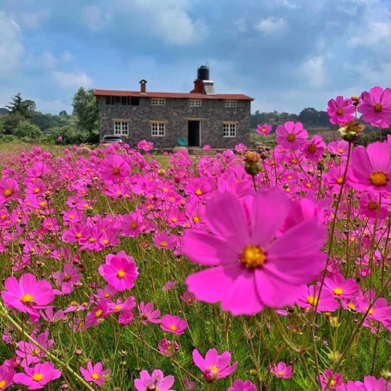 Home in Jilotepec