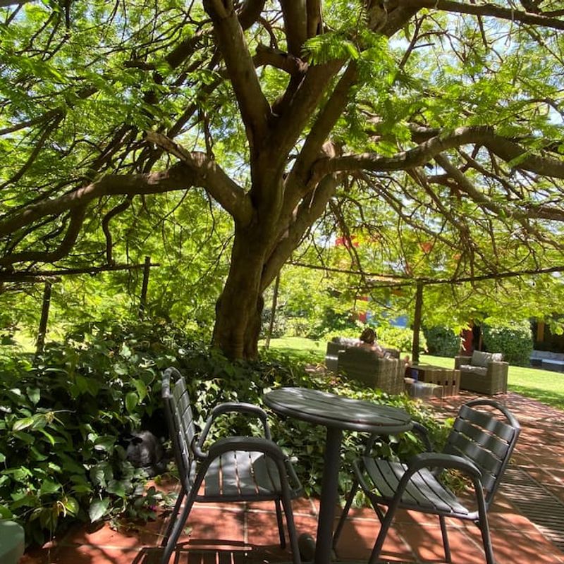 Countryside Home in Malinalco