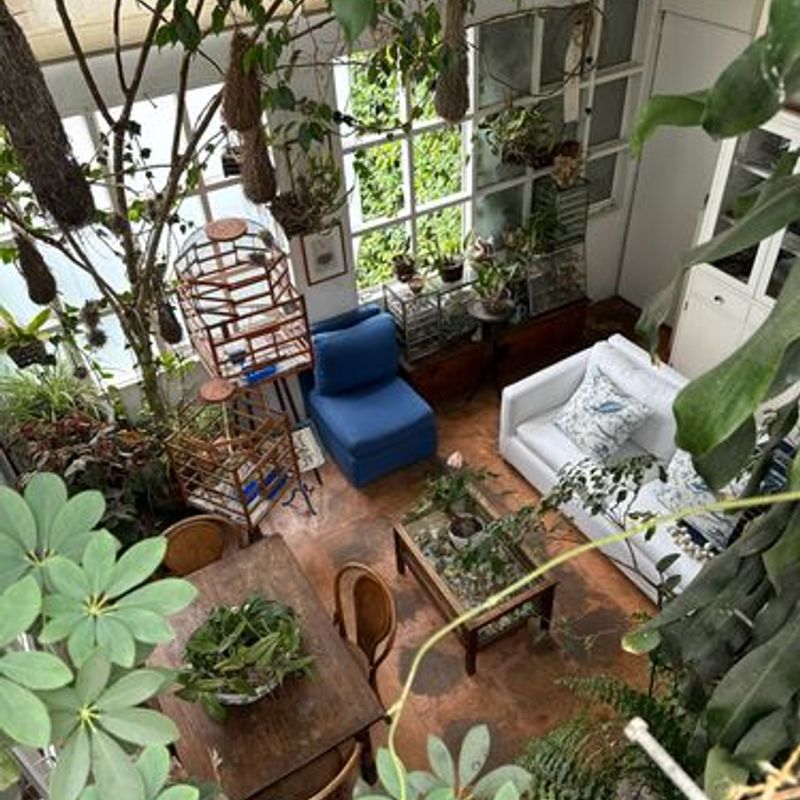 Two Homes in Condesa