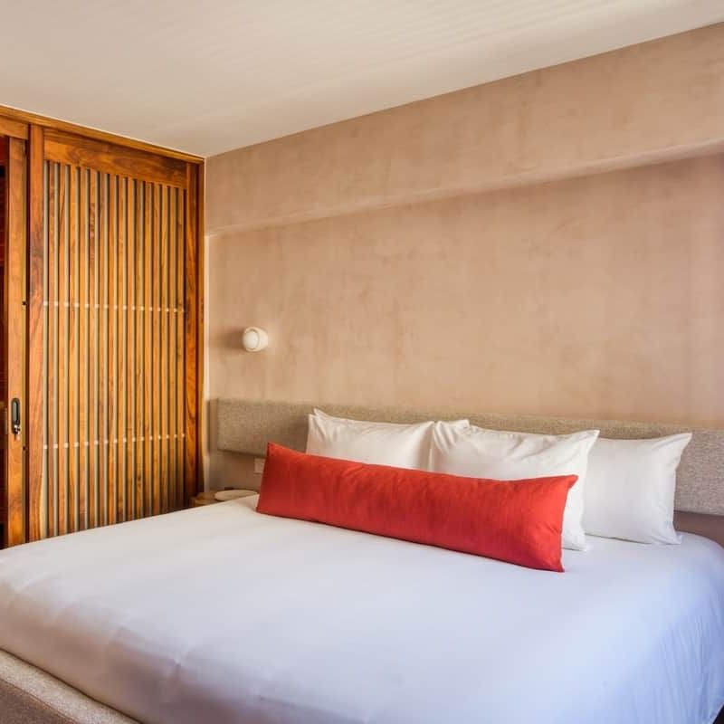 Two Apartments in Condesa