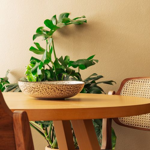 Apartment in Escandon