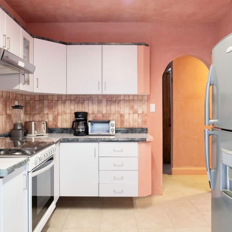 Two Homes in Polanco