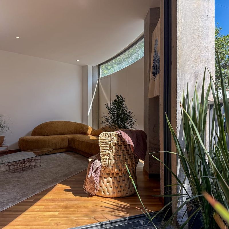 Apartment in Condesa