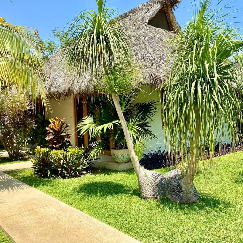 Beachfront Villa in La Barra