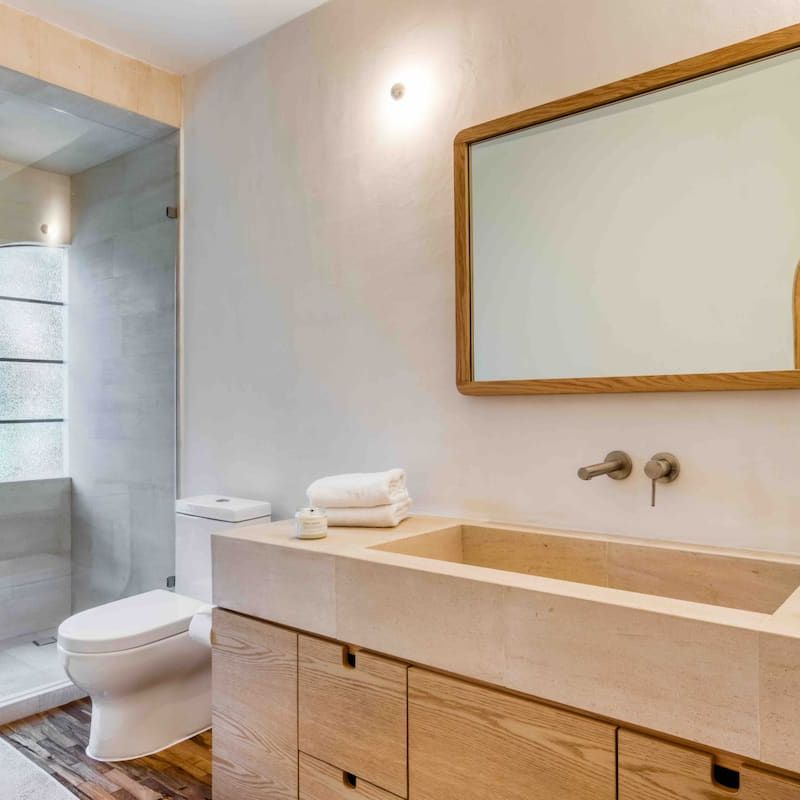 Two Homes in Condesa