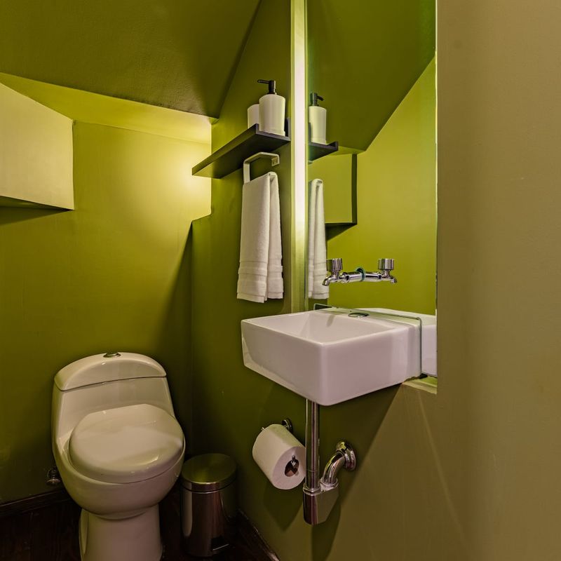 Large Home in Condesa