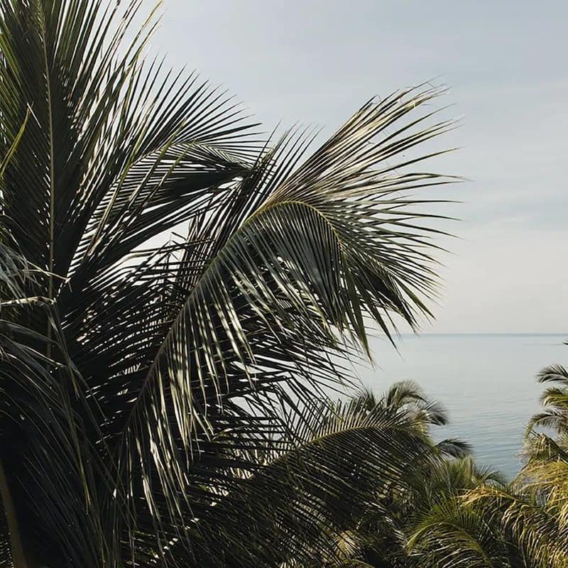 Villa in Soliman Bay 