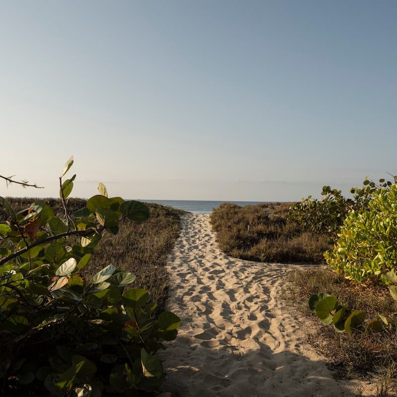 Beach Shack in Casa Wabi Area