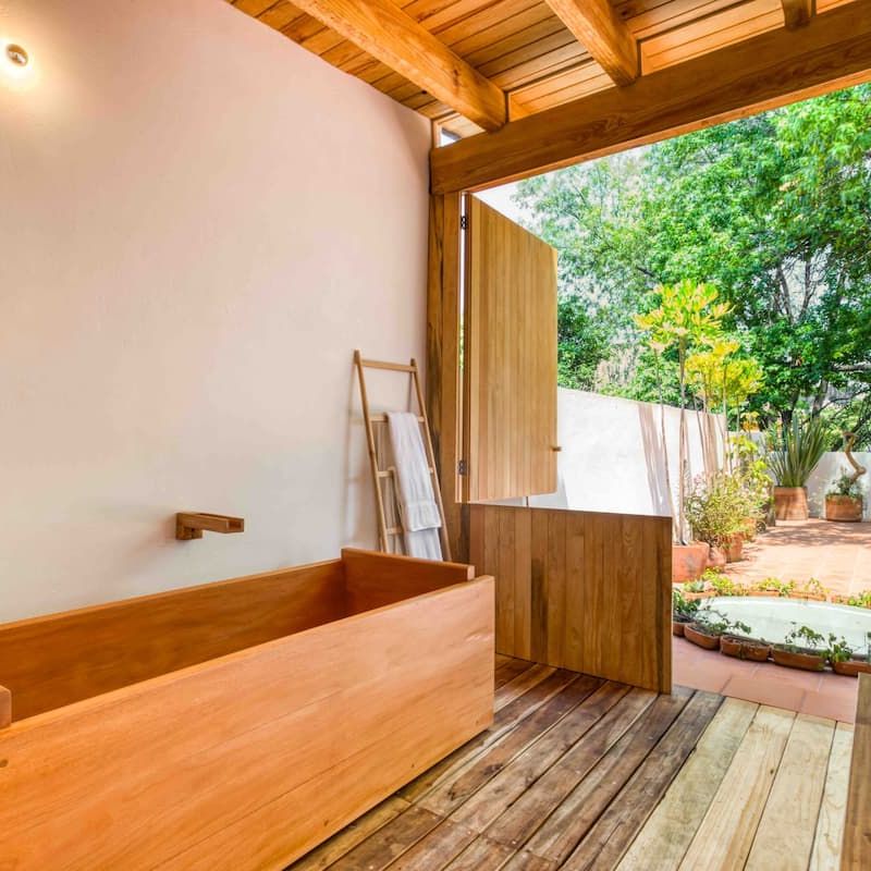 Two Homes in Condesa