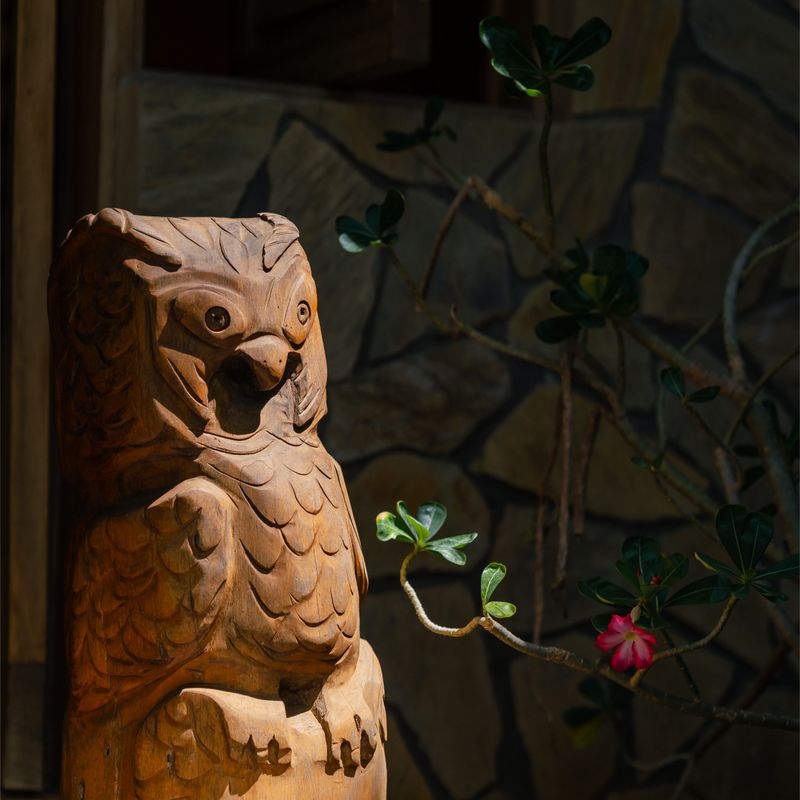 Beachfront Home in Puerto Escondido