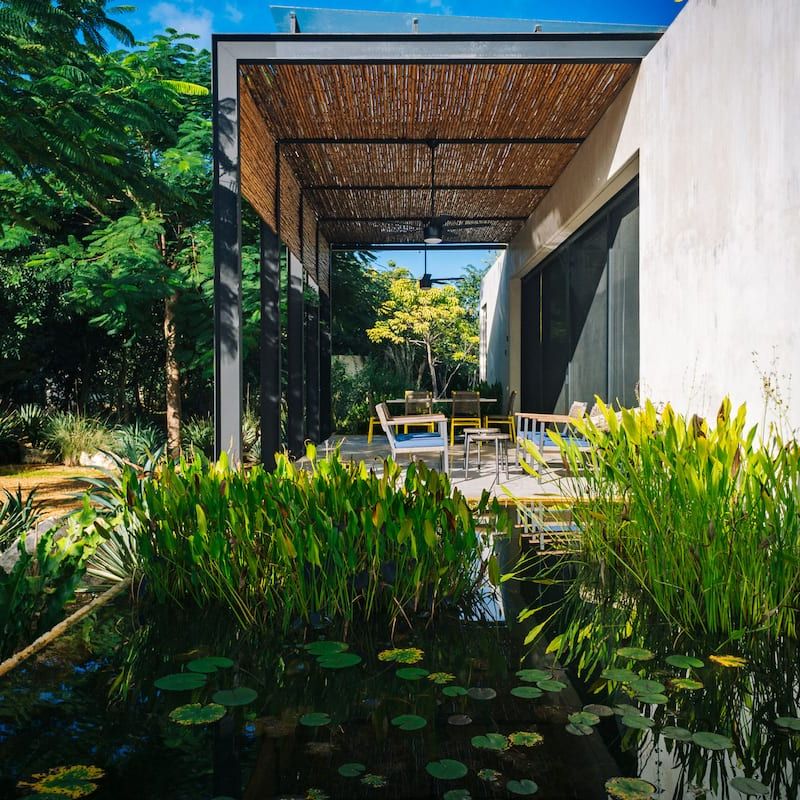 Luxury Jungle Villa in Valladolid