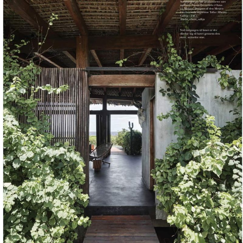 Beach Villa in Casa Wabi Area