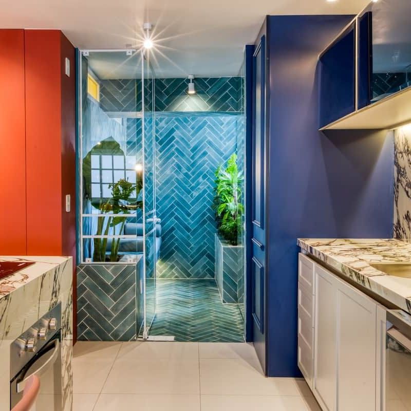 Two Apartments in Condesa