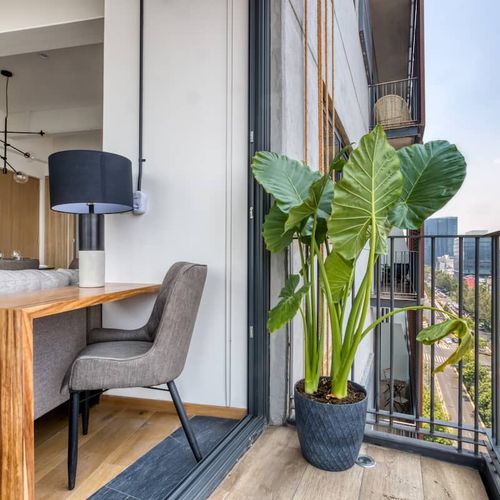 Apartment in Juarez