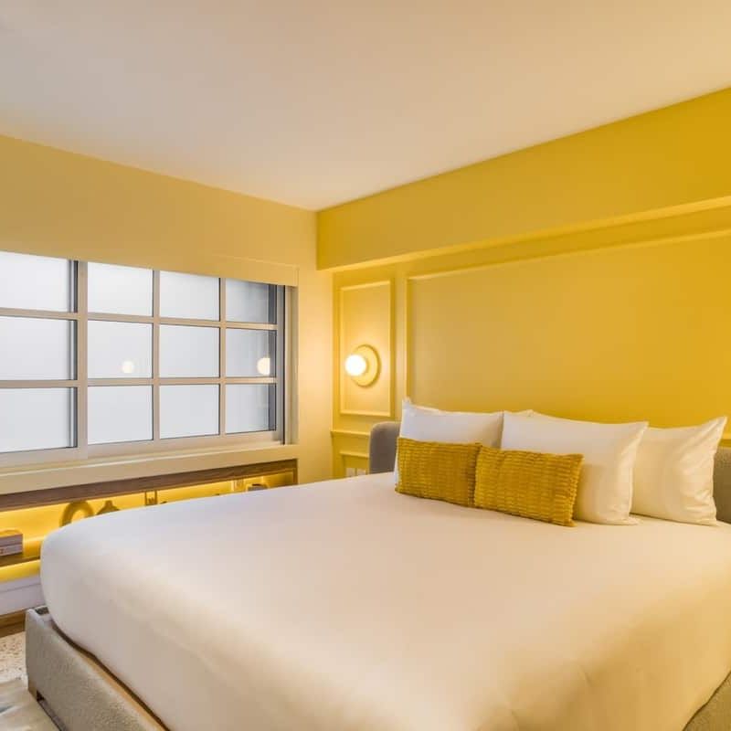 Two Apartments in Condesa