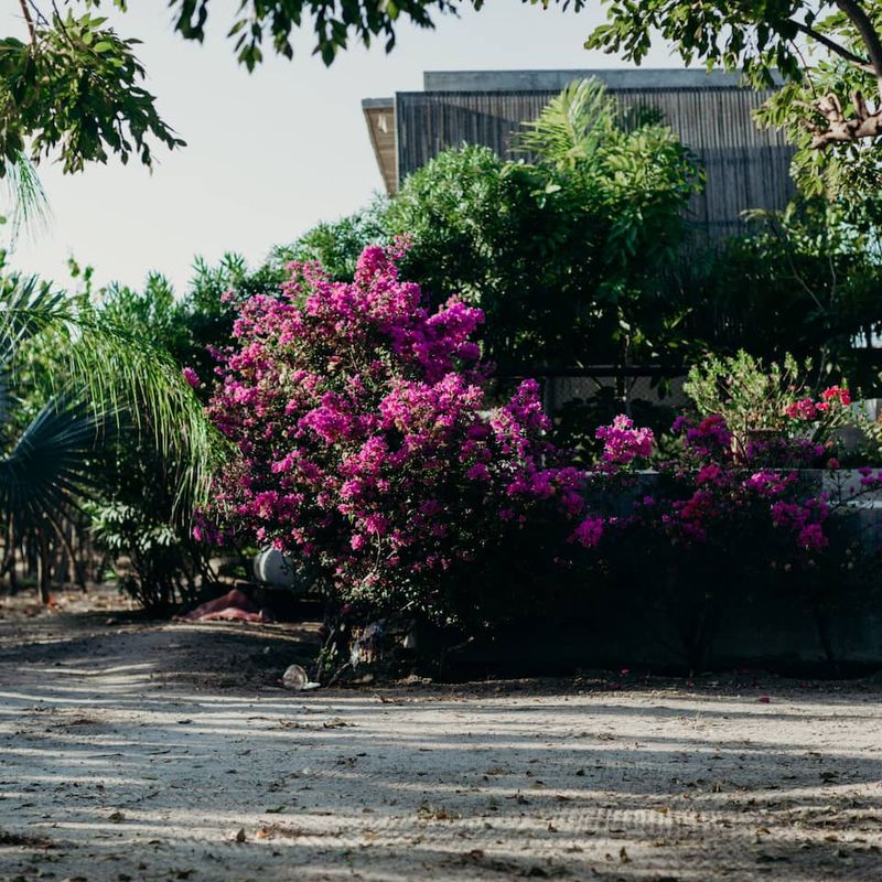 Designer Villa in Santa Elena el Tule