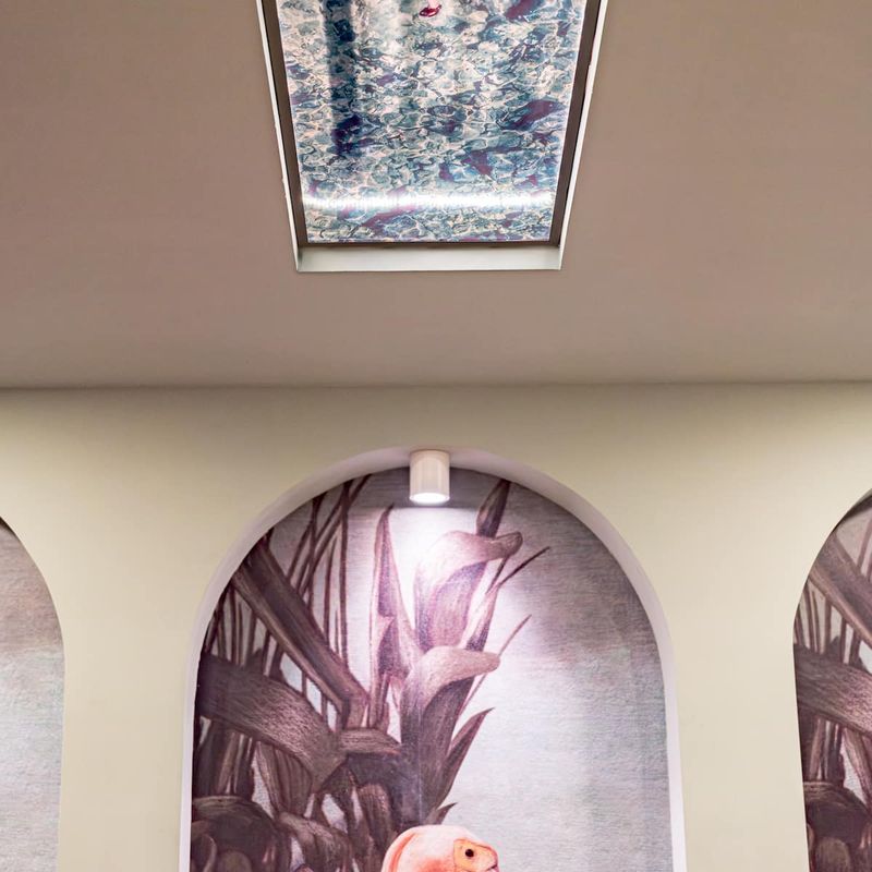 Row Home in Roma Sur