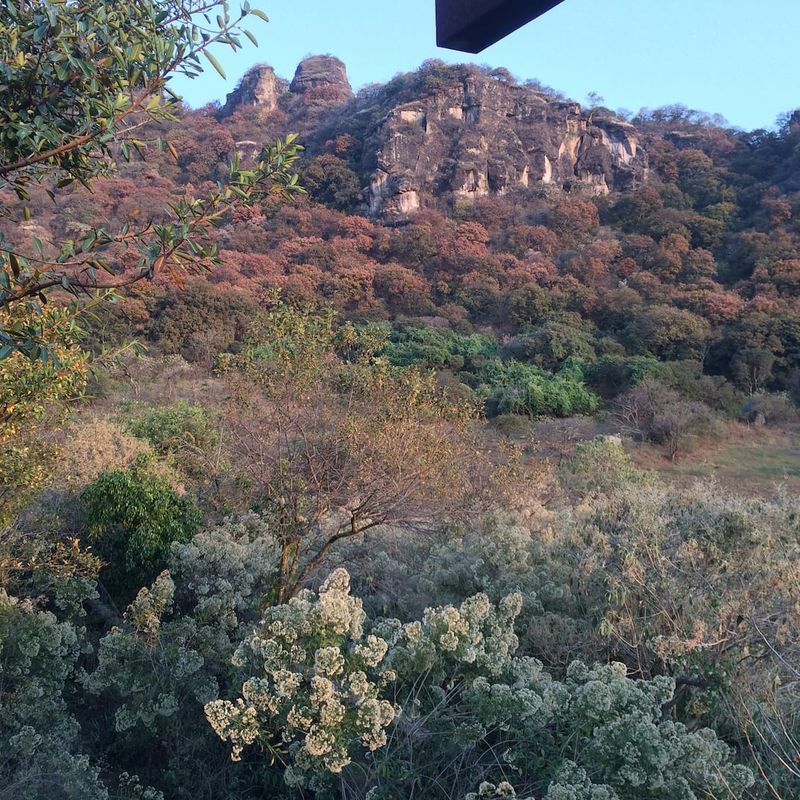 Mountain Home in Amatlan