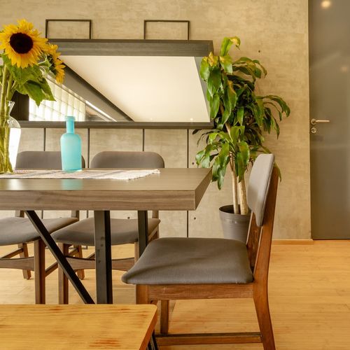 Apartment in Roma Norte