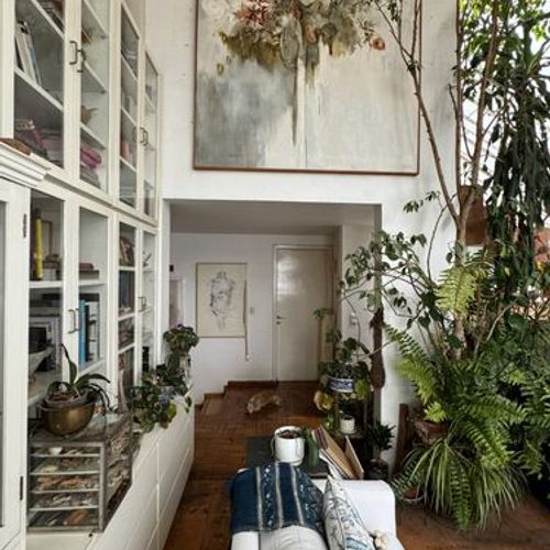 Two Homes in Condesa