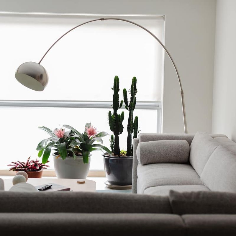 Modern Apartment in Condesa