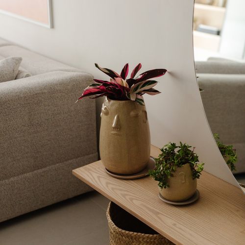 Modern Apartment in Condesa