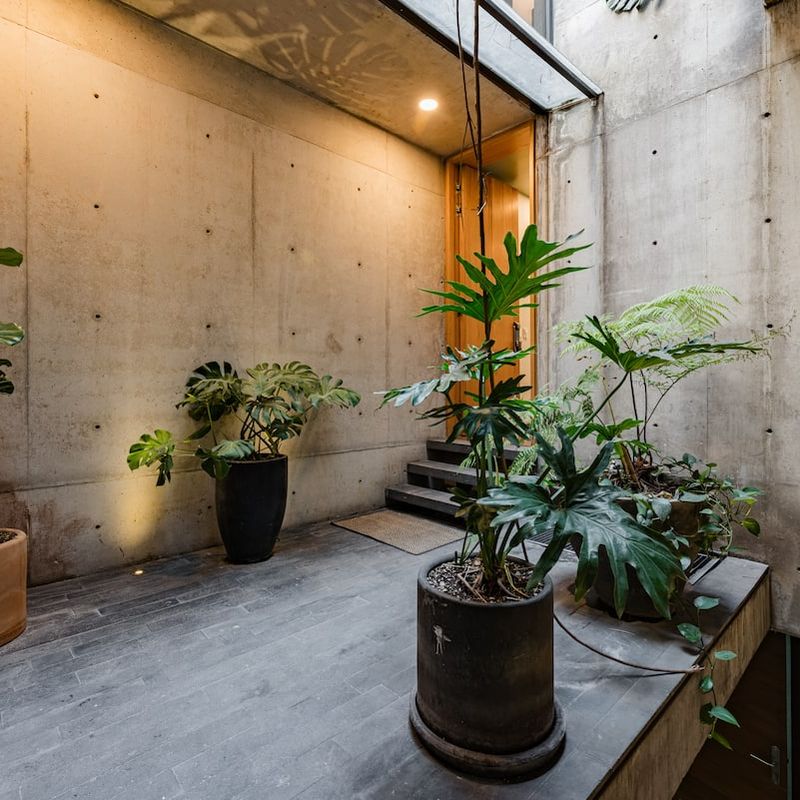 Large Home in Condesa