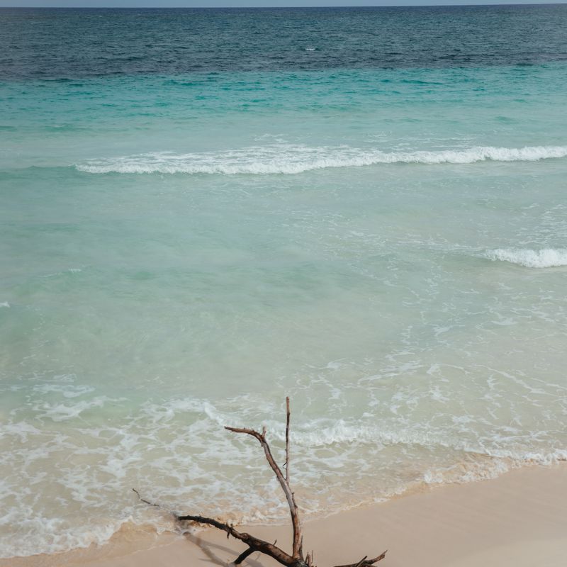 Designer Villa in Tulum