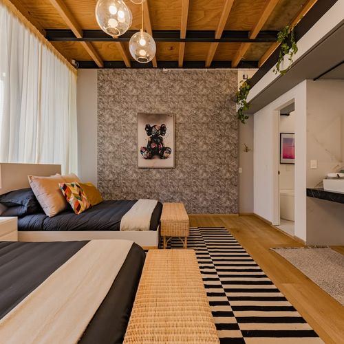 Large Home in Condesa