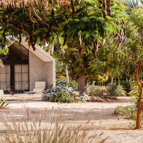 Rancho  in Todos Santos