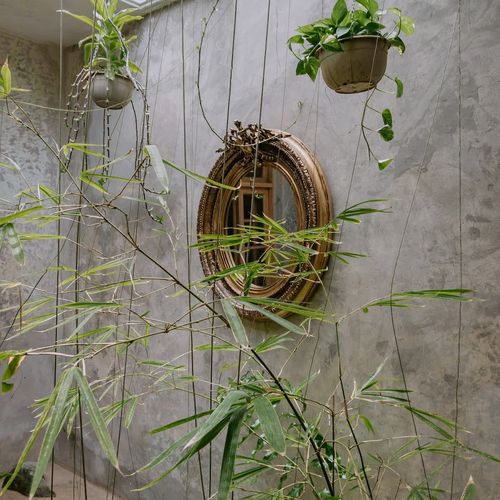 Designer Home in Merida
