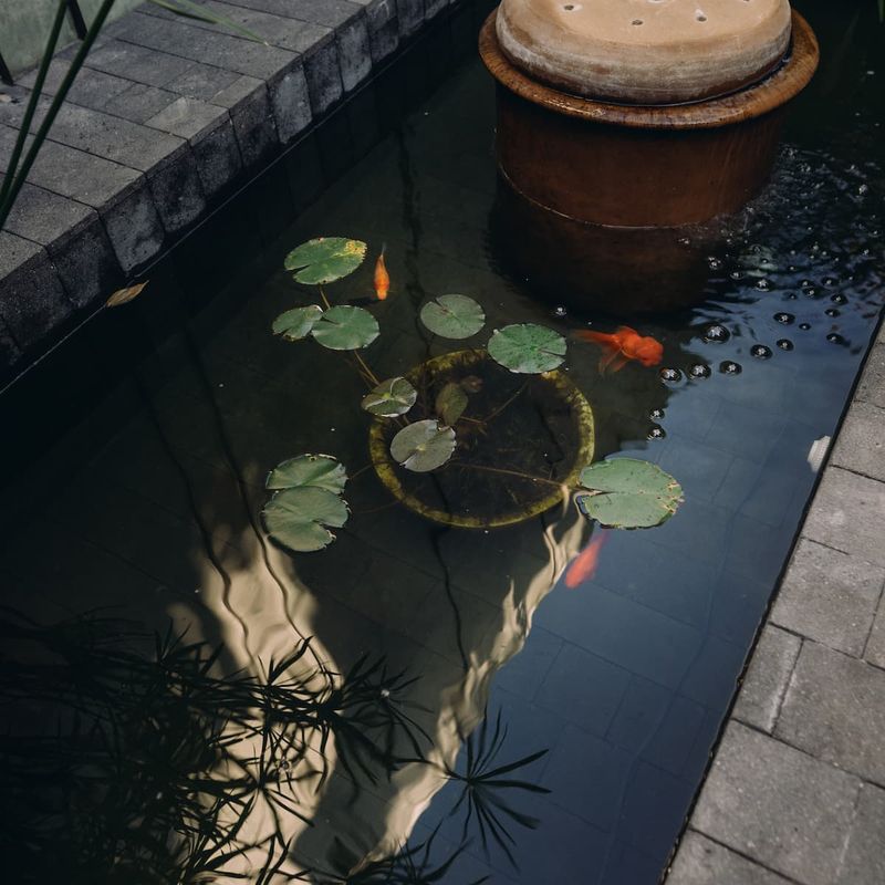 Luxury Home in Oaxaca