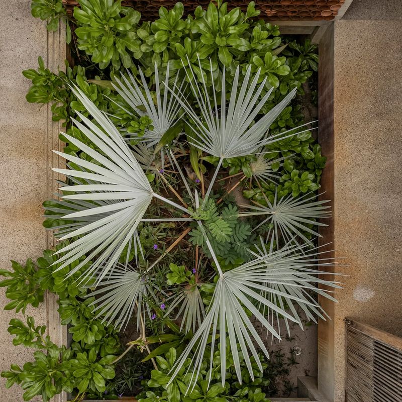 Beachfront Home in Casa Wabi Area