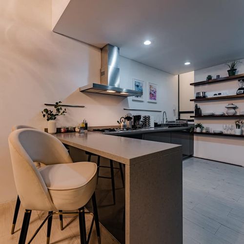 Large Home in Condesa