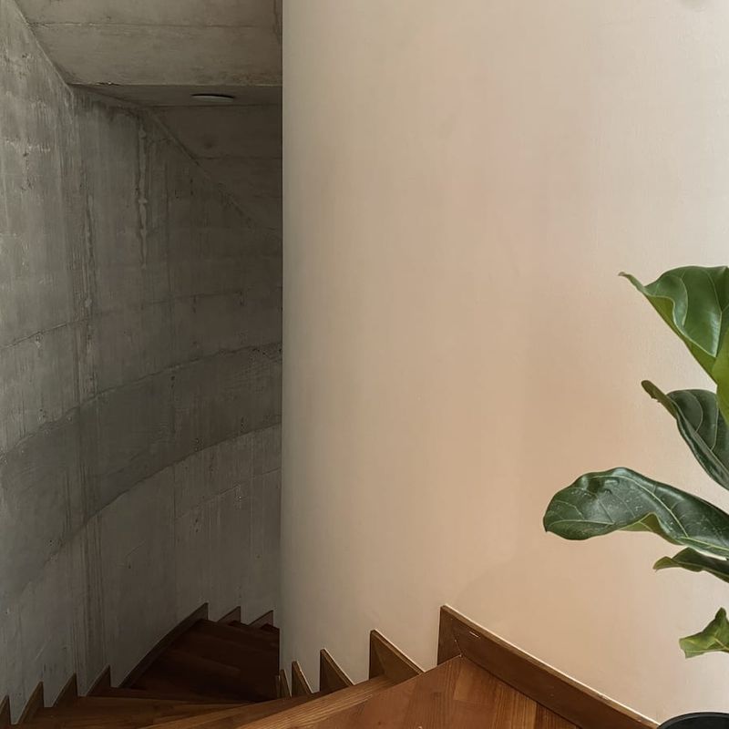 Apartment in Condesa