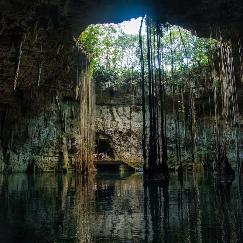Luxury Jungle Villa in Valladolid
