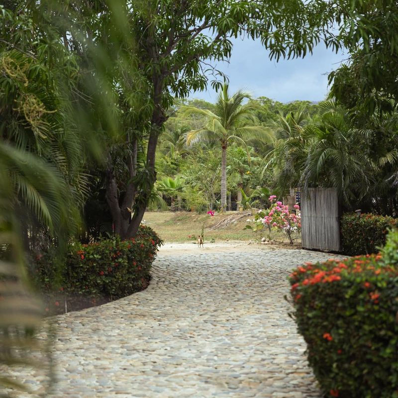 Villa in Los Naranjos