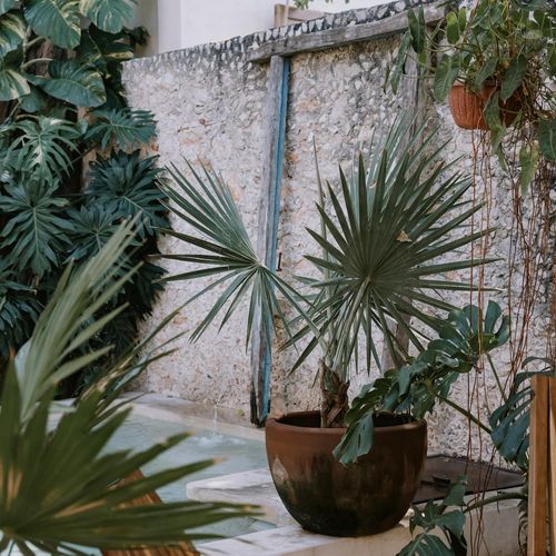 Bed & Breakfast in Merida